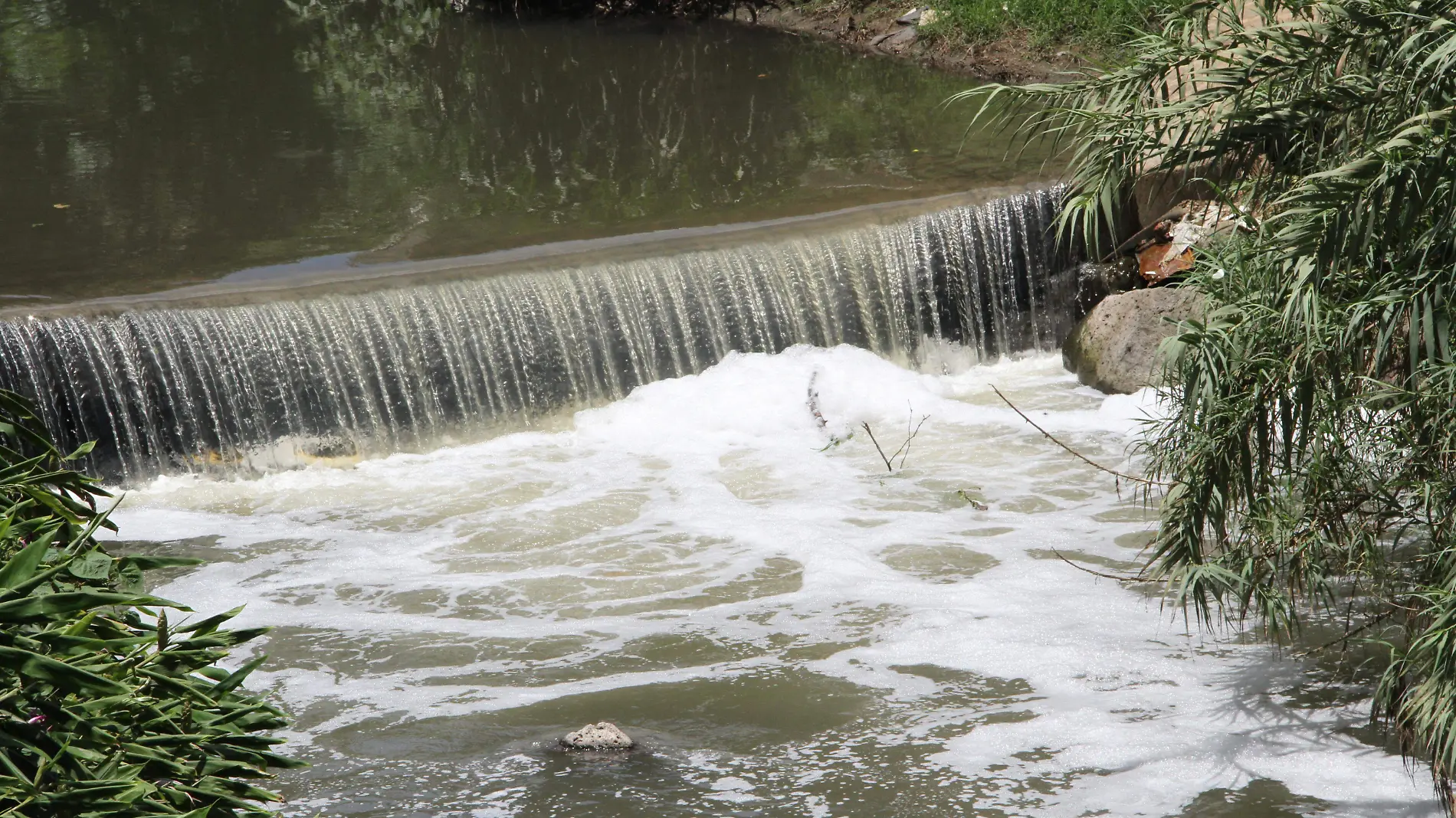 Contaminación en el río Sedeño